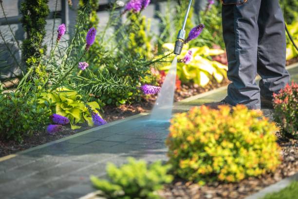 Best Post-Construction Pressure Washing  in Eulyptus Hills, CA