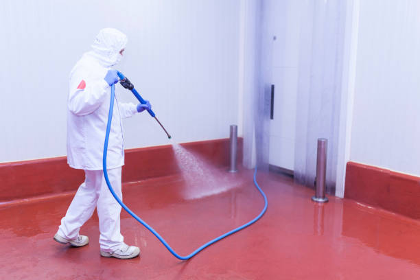 Best Heavy Equipment Washing  in Eulyptus Hills, CA