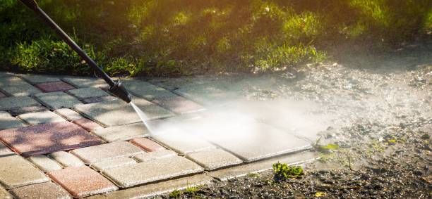 Best Fence Cleaning  in Eulyptus Hills, CA